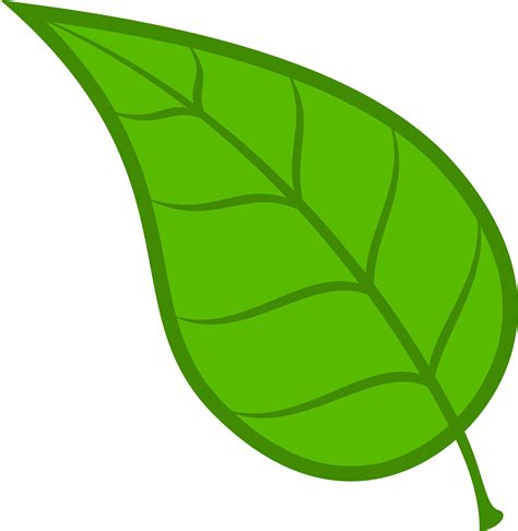 leaf clipart|Leaf clipart images in SVG, PNG, GIF .